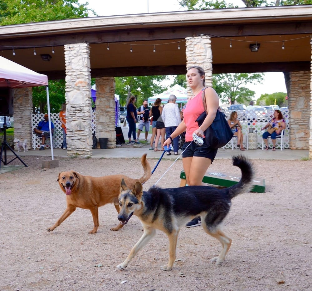 Dog House Drinkery & Dog Park, photo 3