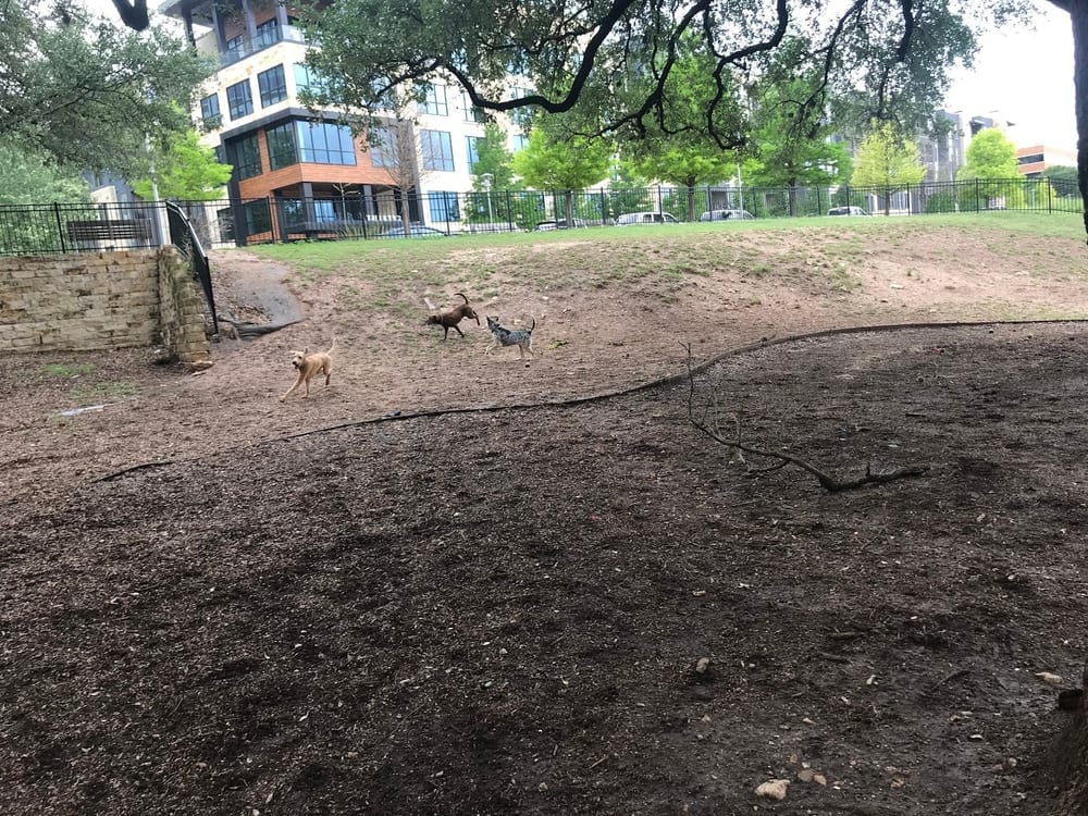 Hancock Dog Park, photo 3