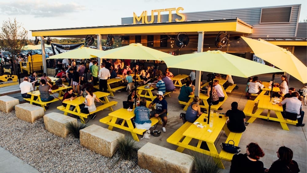 MUTTS Canine Cantina® - Austin, photo 3