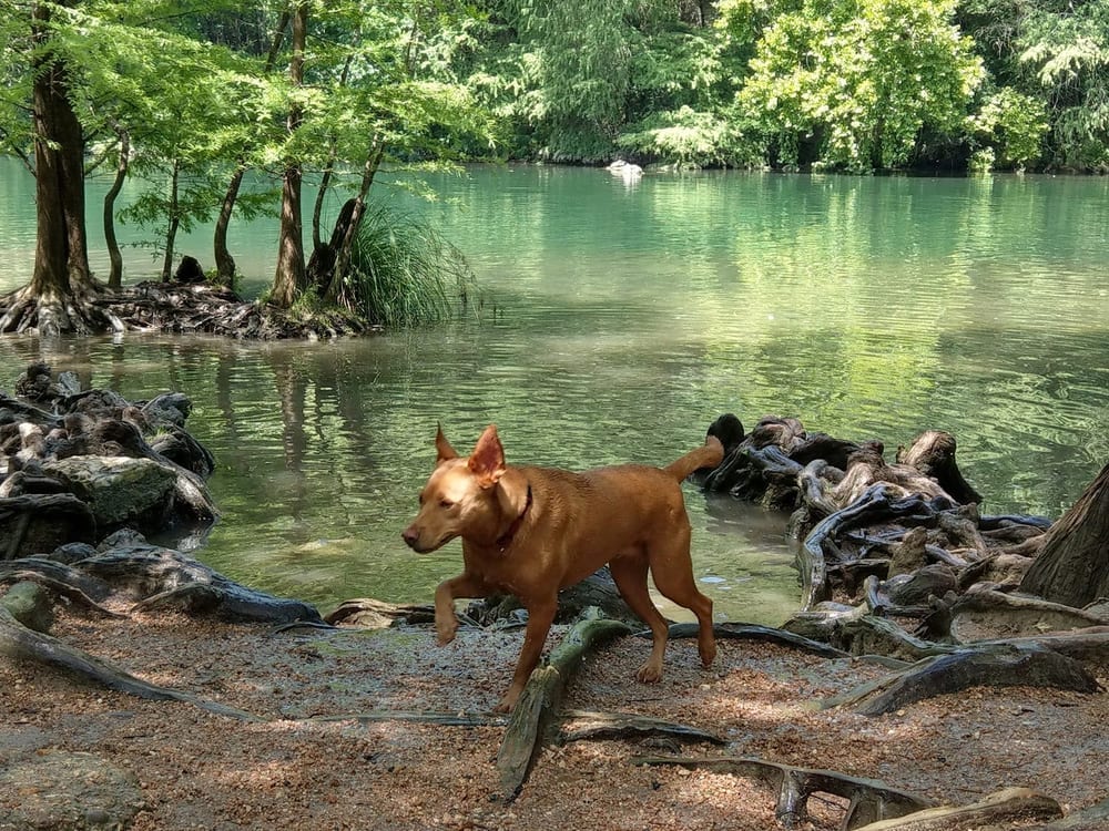 Red Bud Isle, photo 2