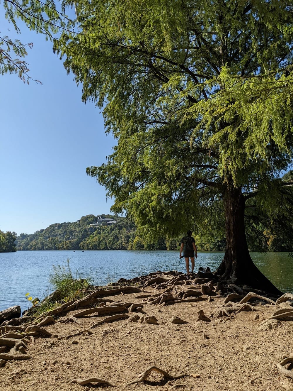 Red Bud Isle, photo 3