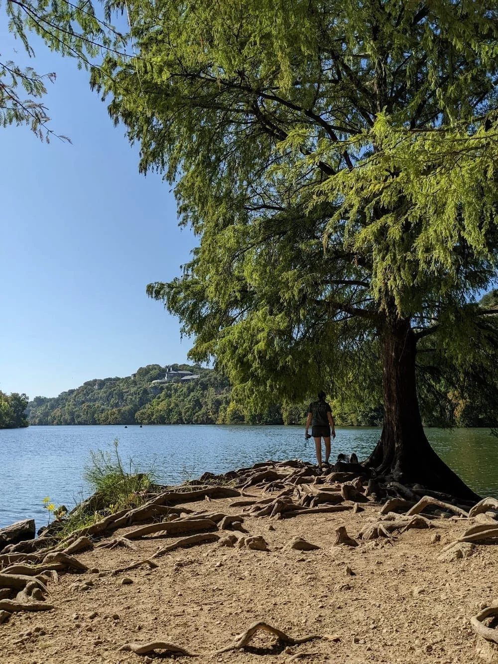 Red Bud Isle, photo 3