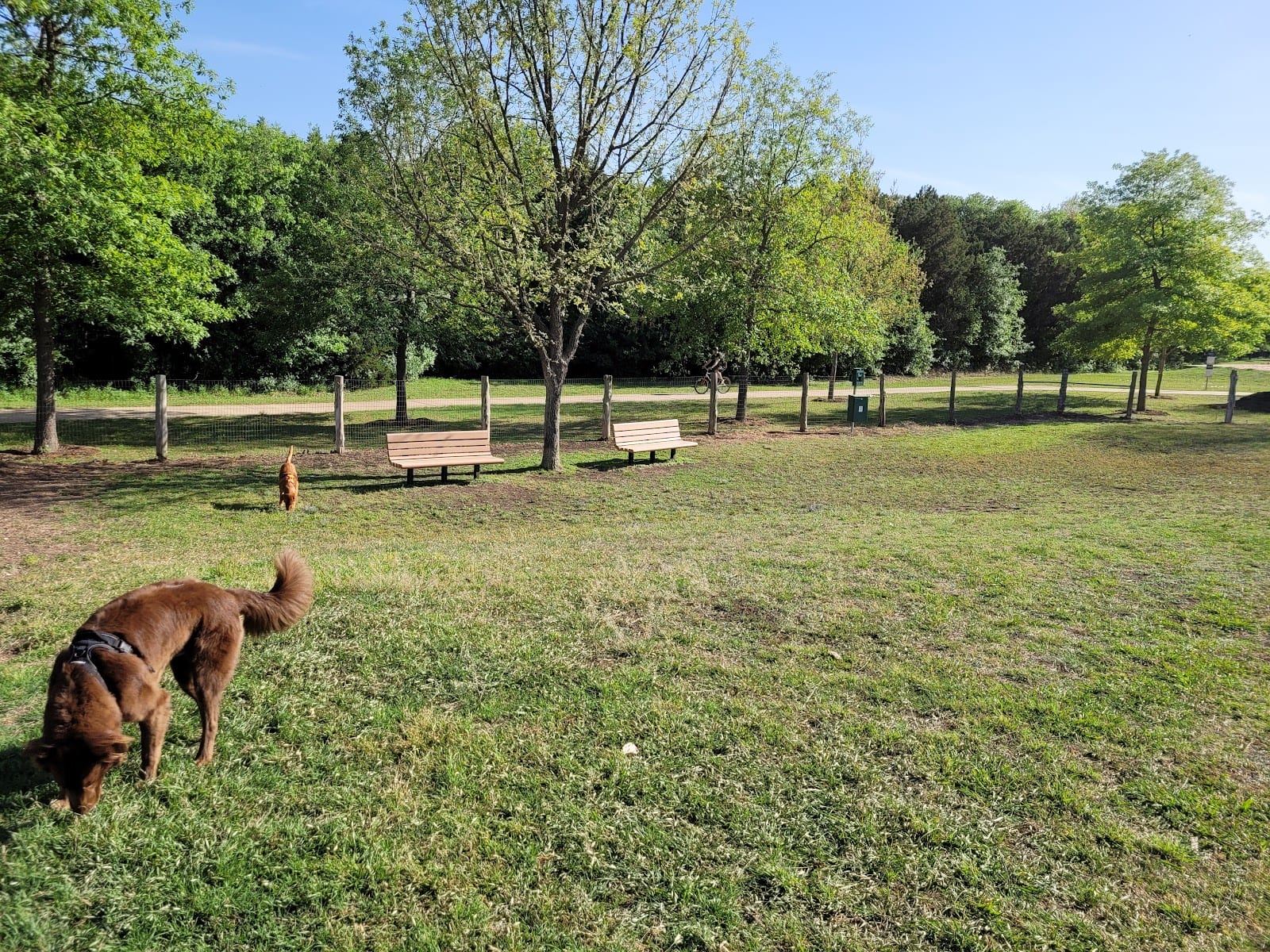 Round Rock Dog Depot
