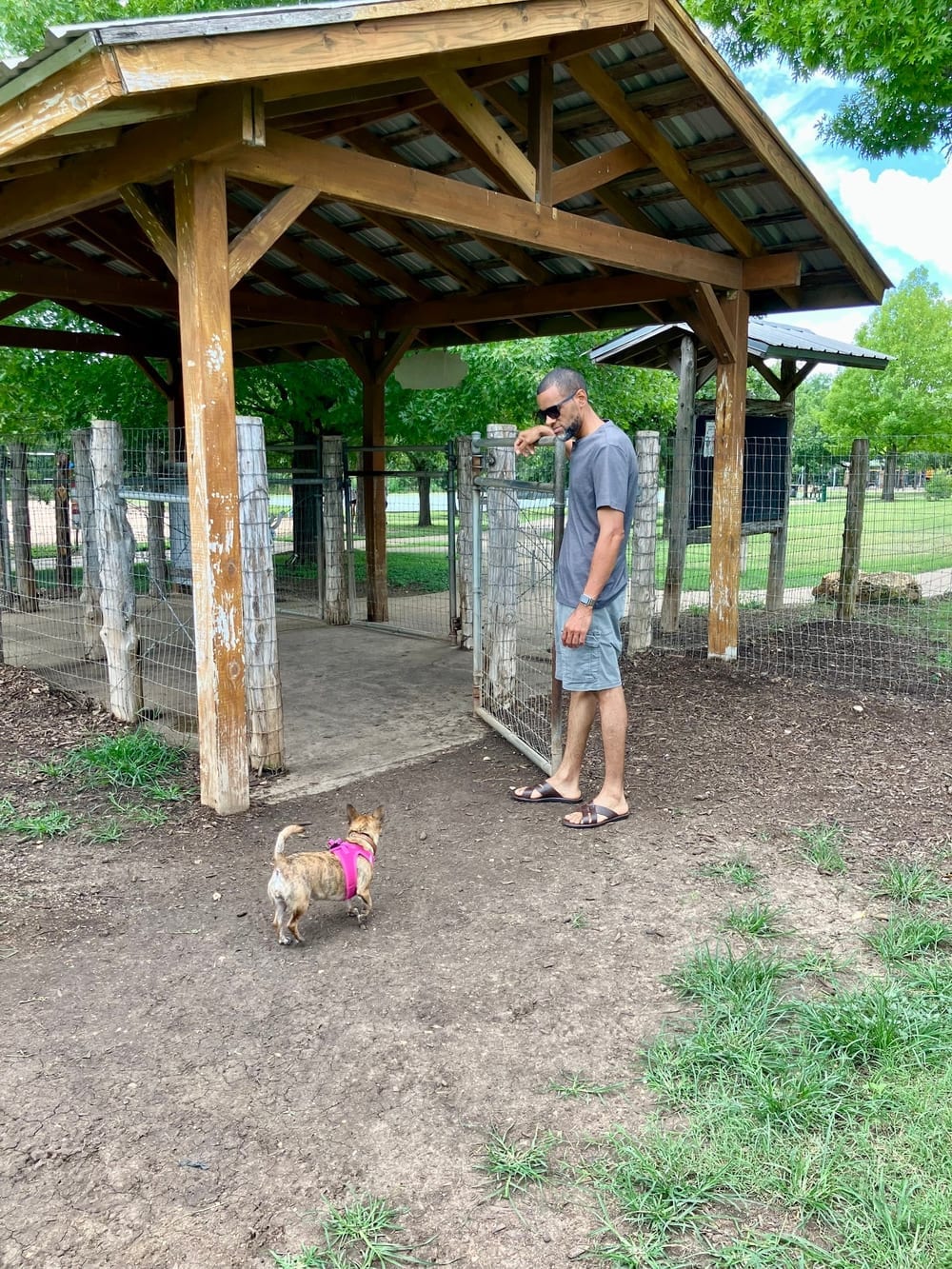 Round Rock Dog Depot, photo 3