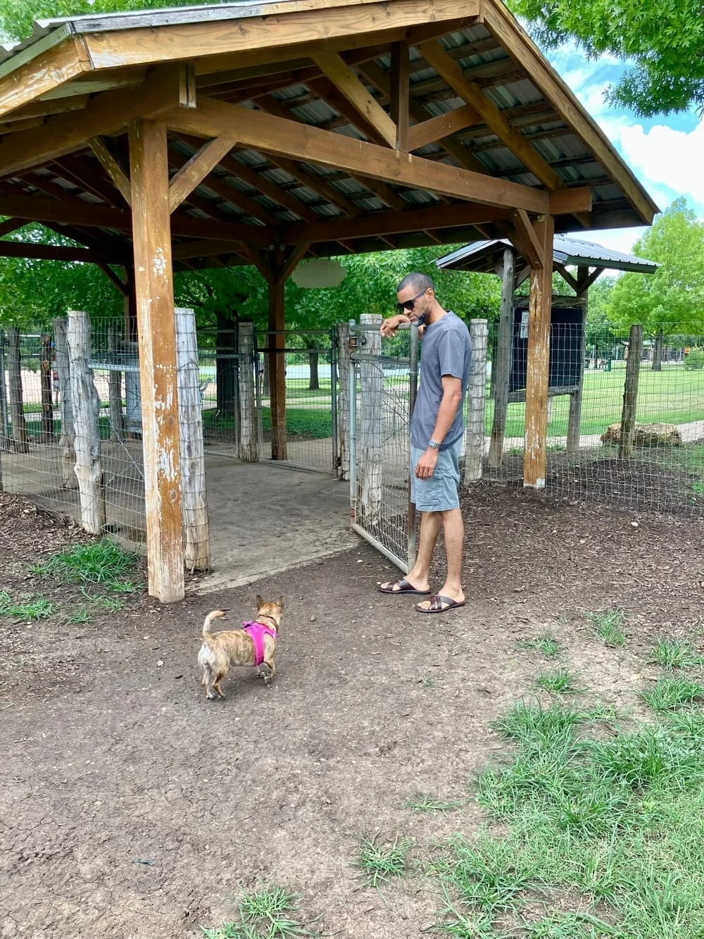 Round Rock Dog Depot, photo 3