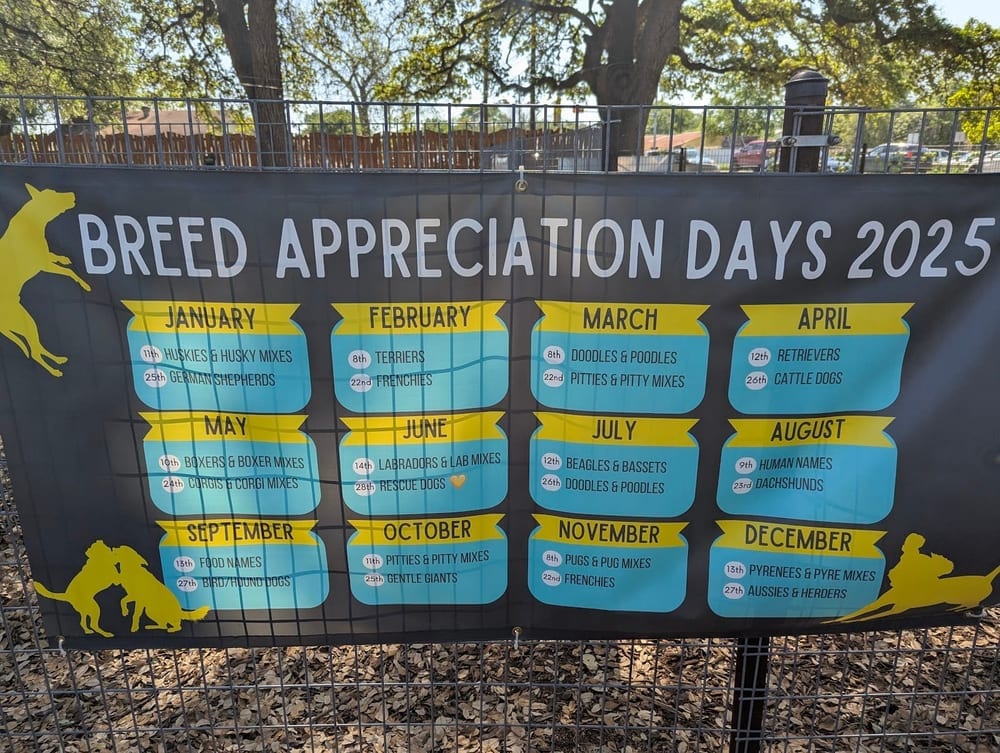 The Watering Bowl, photo 2