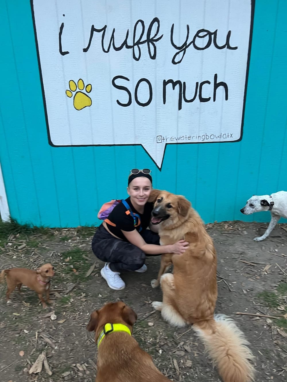 The Watering Bowl, photo 3