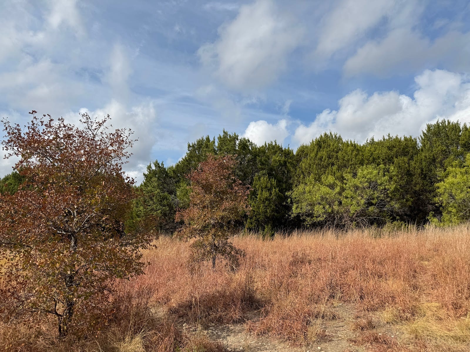 Walnut Creek Metropolitan Park