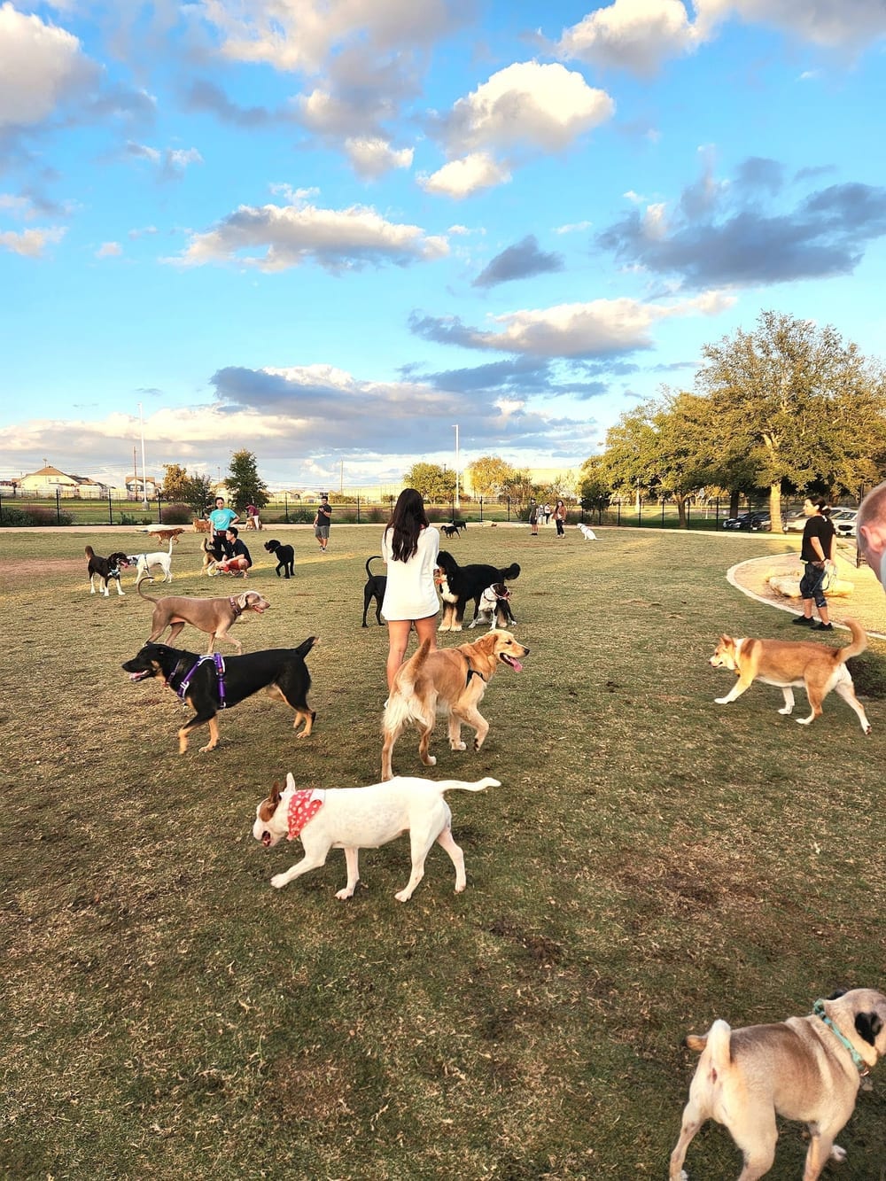 WB MUD Dog Park, photo 2