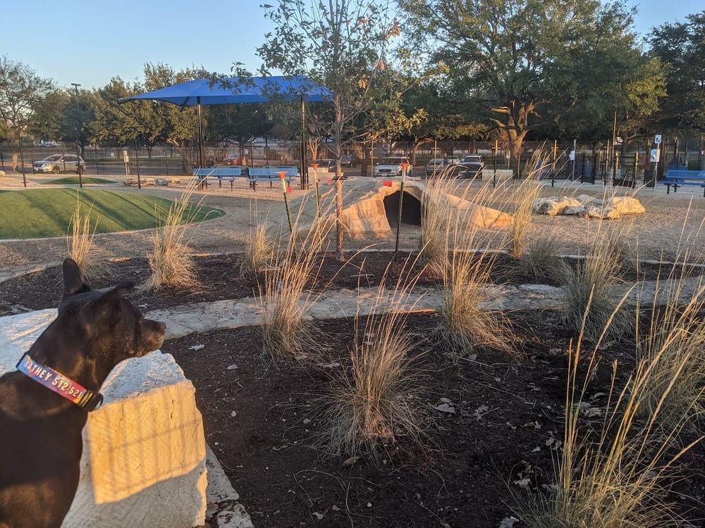 WB MUD Dog Park, photo 3