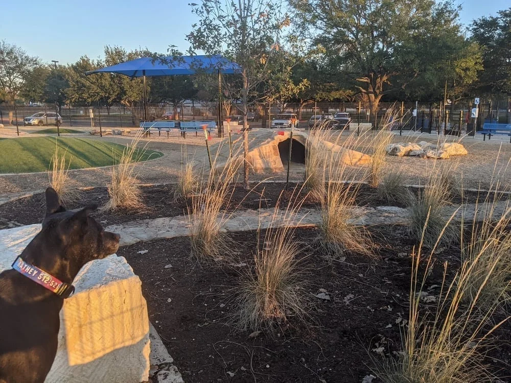 WB MUD Dog Park, photo 3