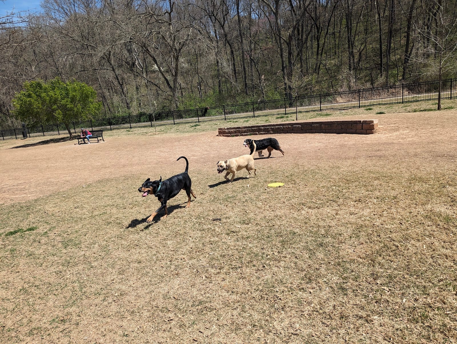 Bark Park
