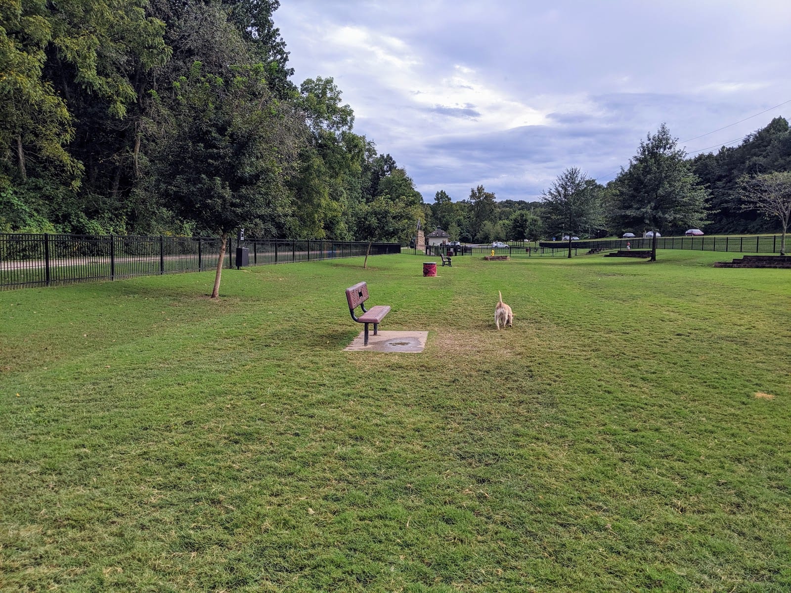 Bark Park, photo 2