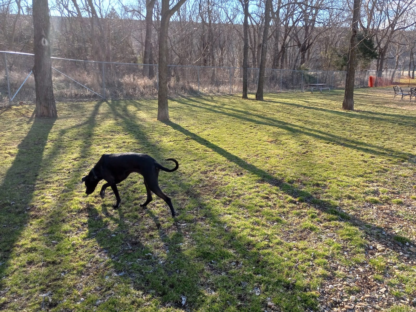 Bella Vista K9 Corral Dog Park