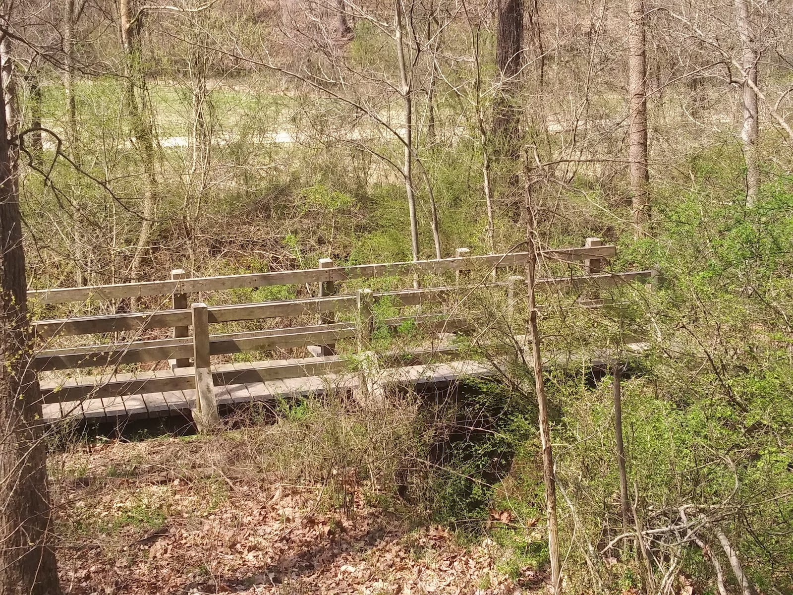 Lake Atlanta Dog Park, photo 3