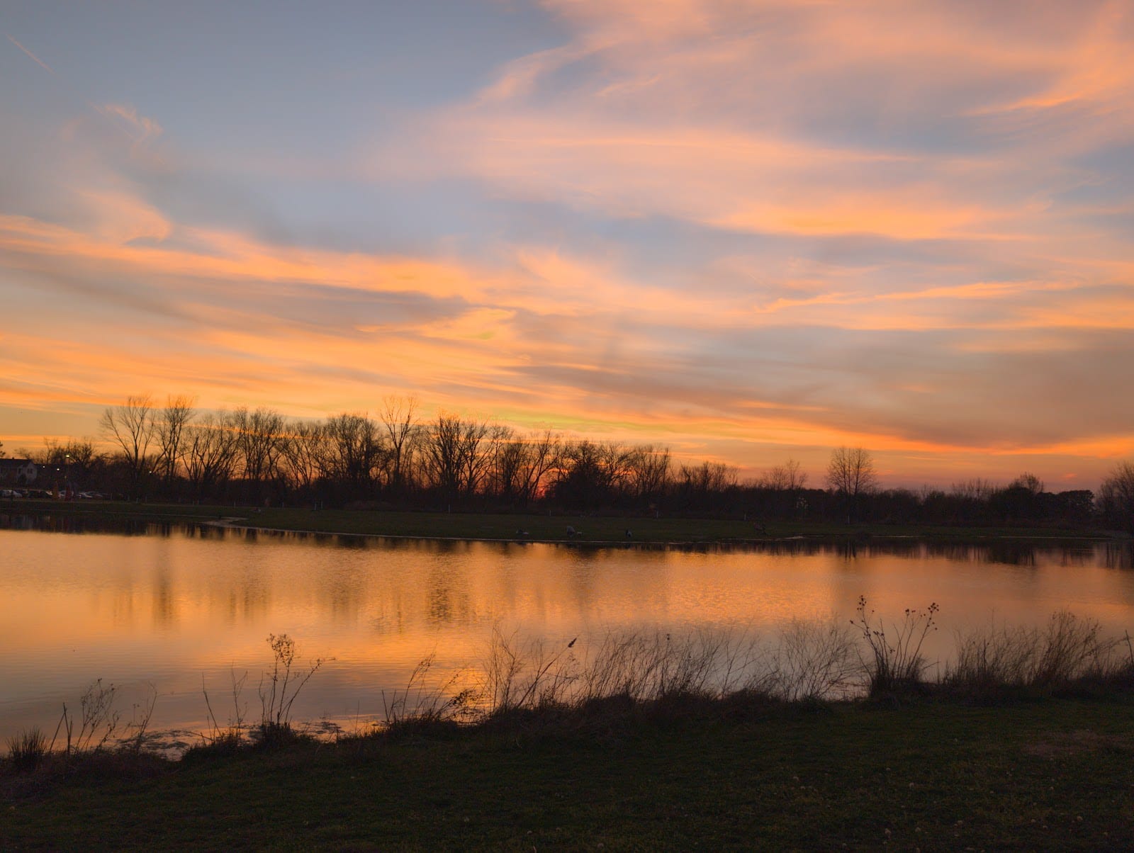 Osage Dog Park