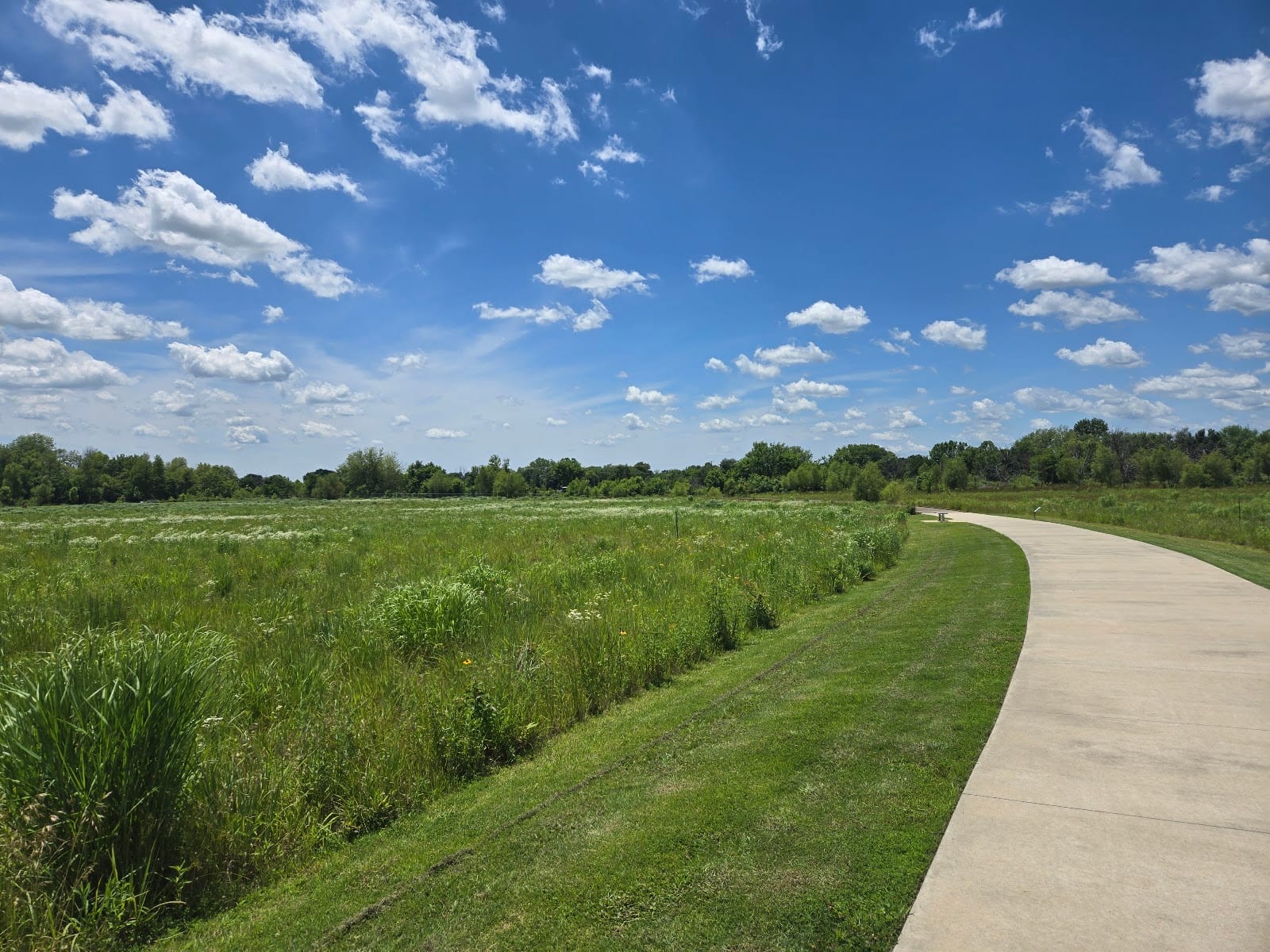 Osage Dog Park, photo 2