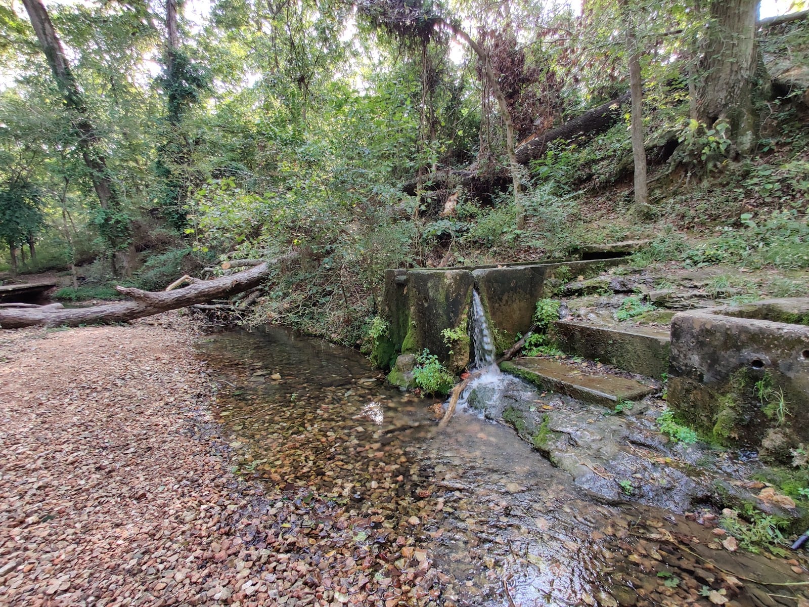 Park Springs Park, photo 2