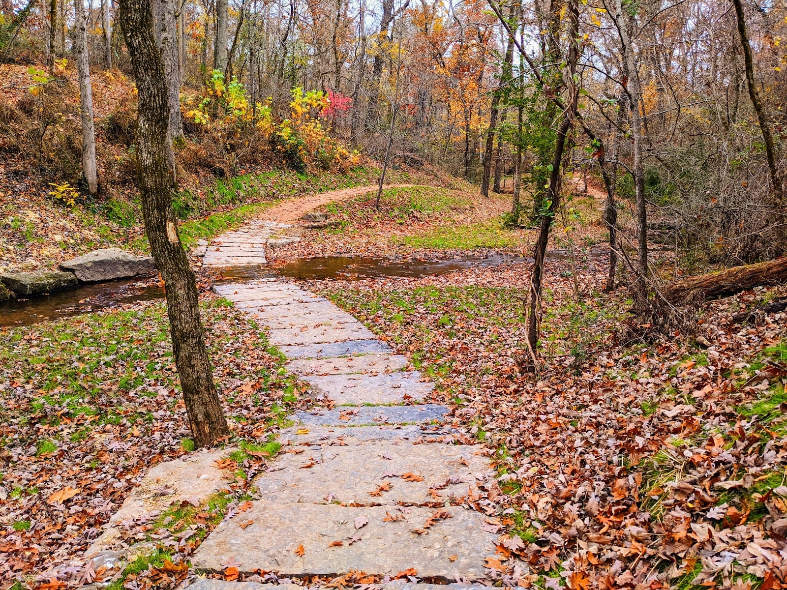 Park Springs Park, photo 3