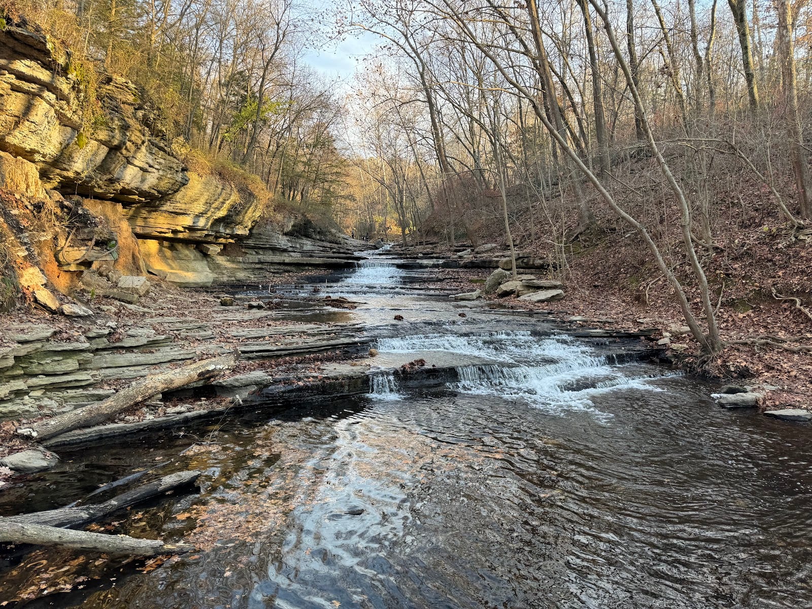 Tanyard Creek Nature Trail
