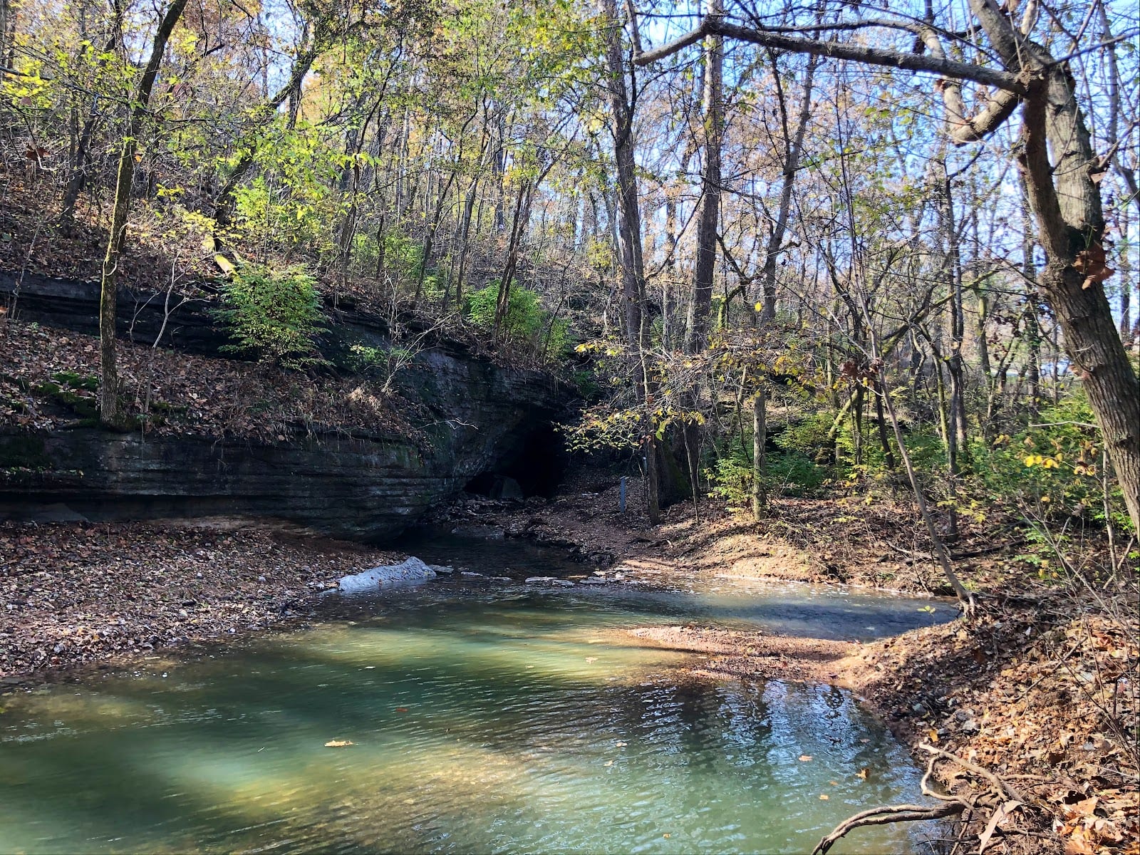 Tanyard Creek Nature Trail, photo 2