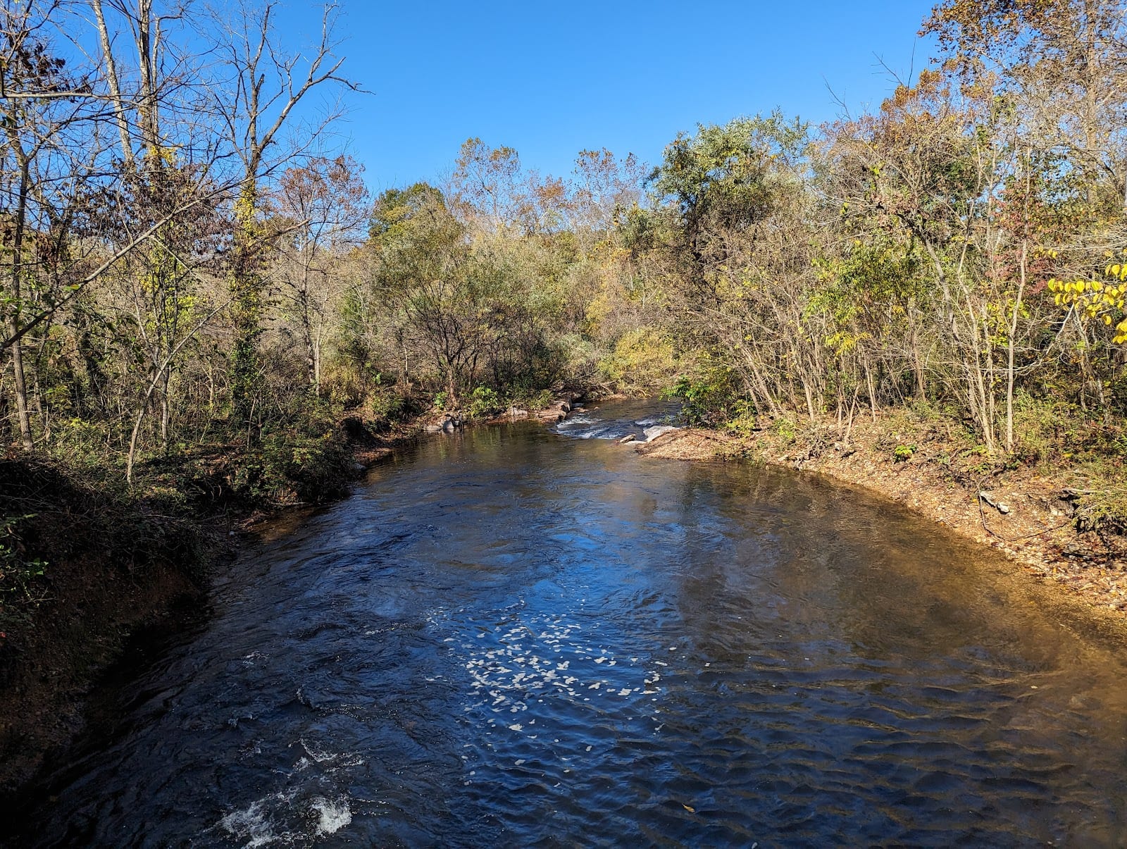 Tanyard Creek Nature Trail, photo 3
