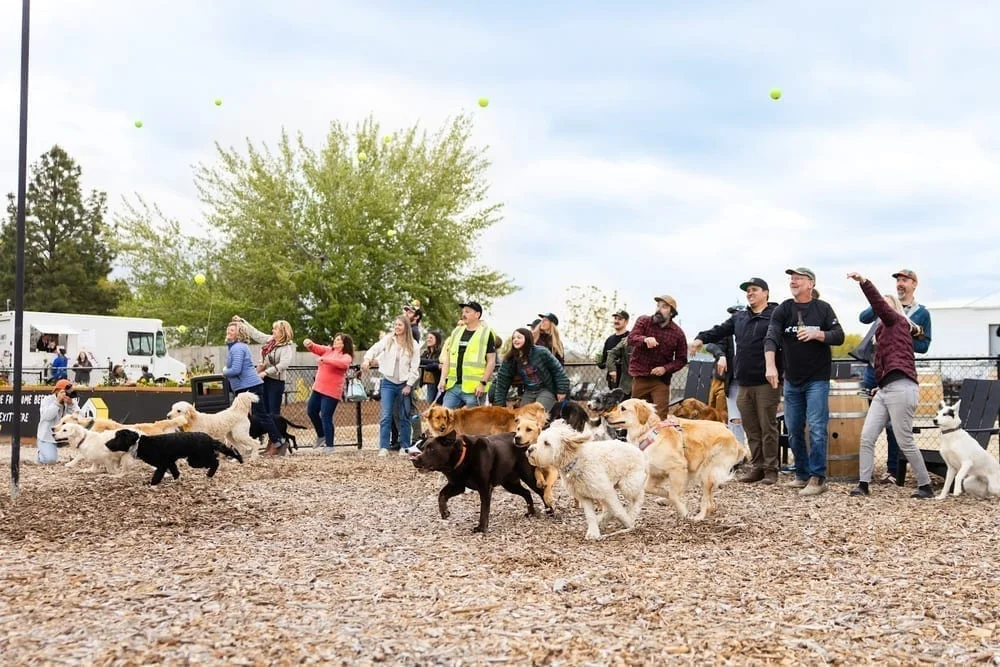 Clubhound, photo 2