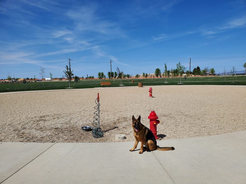 Discovery Bark Park, photo 2