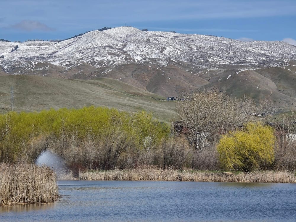 Marianne Williams Park, photo 2