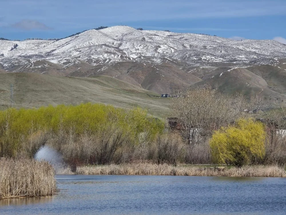 Marianne Williams Park, photo 2