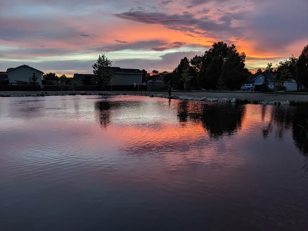 Mariposa Park, photo 3