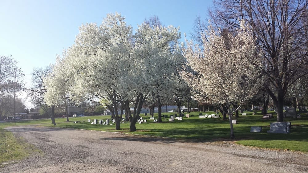 Morris Hill Dog Park, photo 3