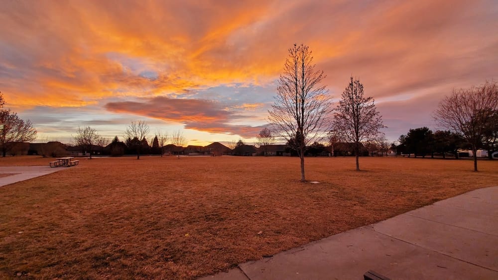 Redwood Park, photo 2