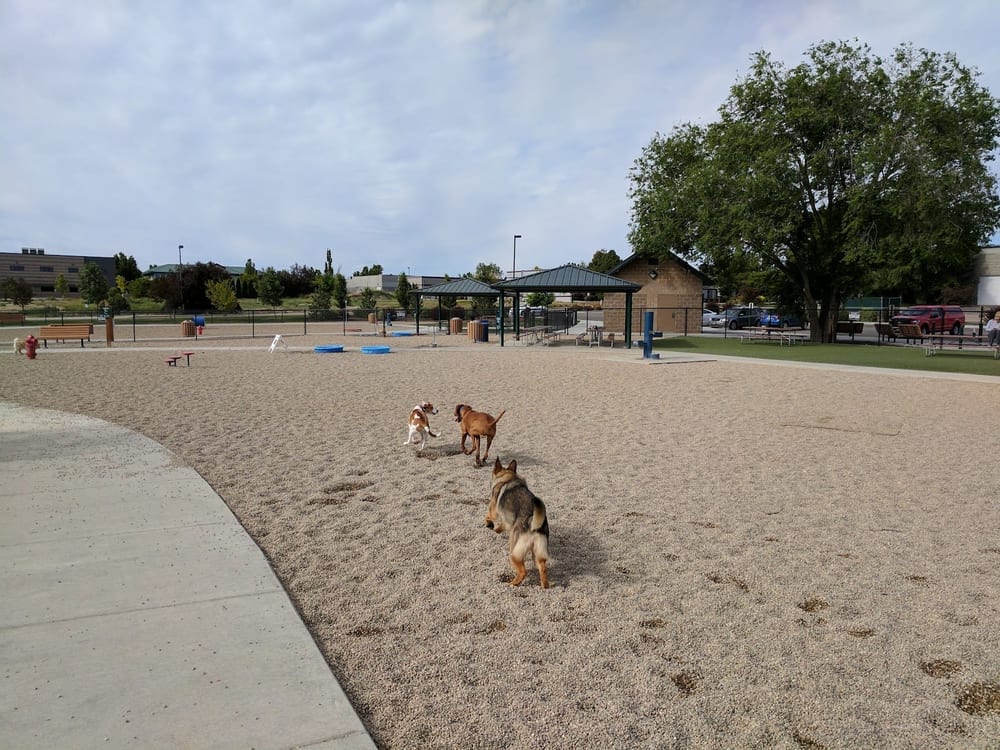 Storey Bark Park, photo 2