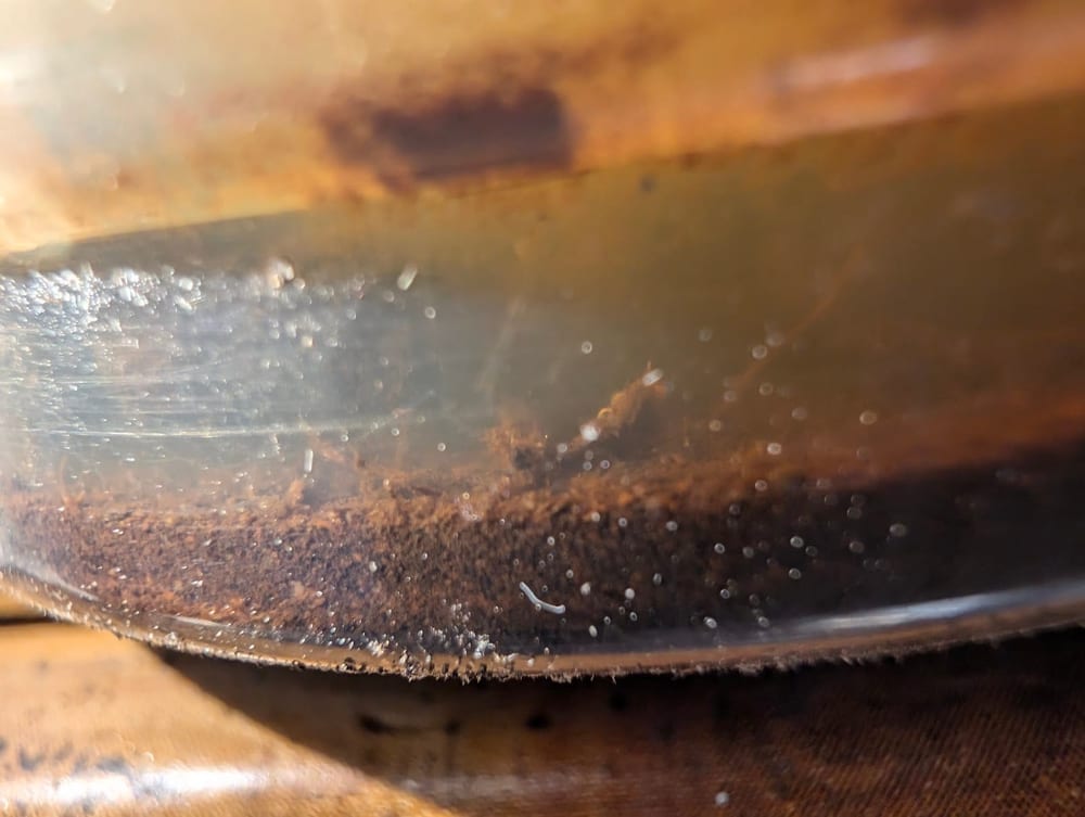 Sunset Park, photo 3