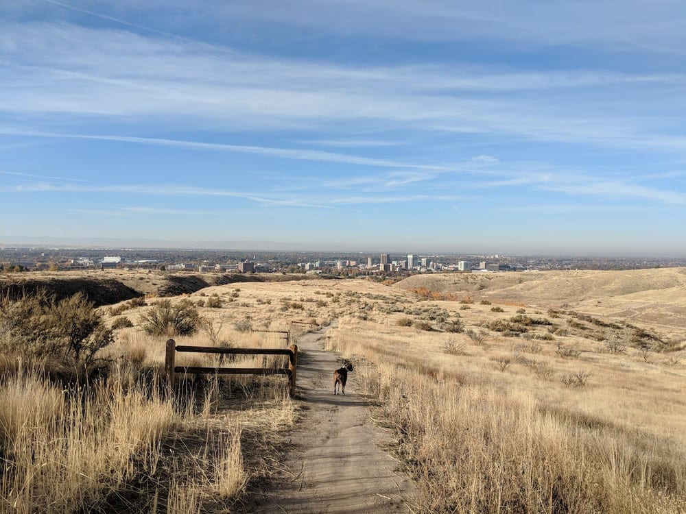 The Military Reserve, photo 2