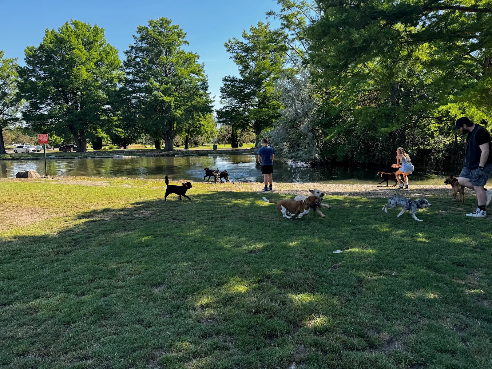 Dog park in Boise