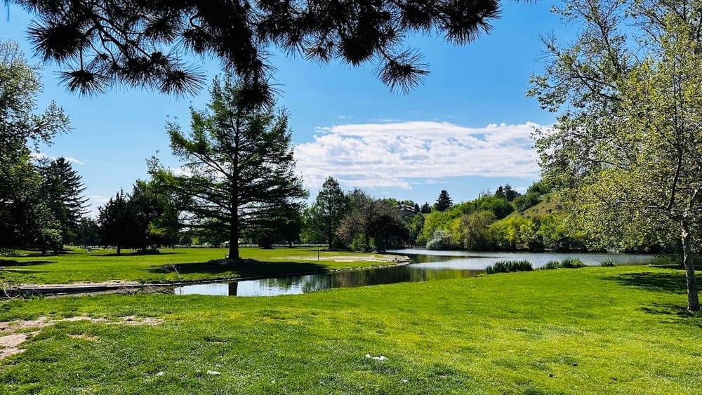 Together Treasure Valley Dog Island, photo 2