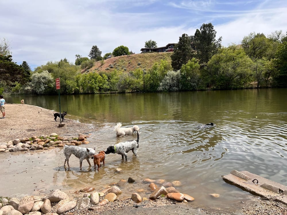 Together Treasure Valley Dog Island, photo 3