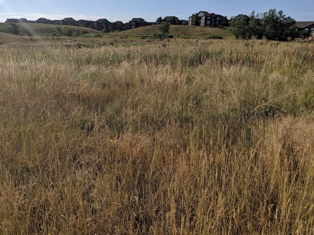 Autrey Park, photo 3