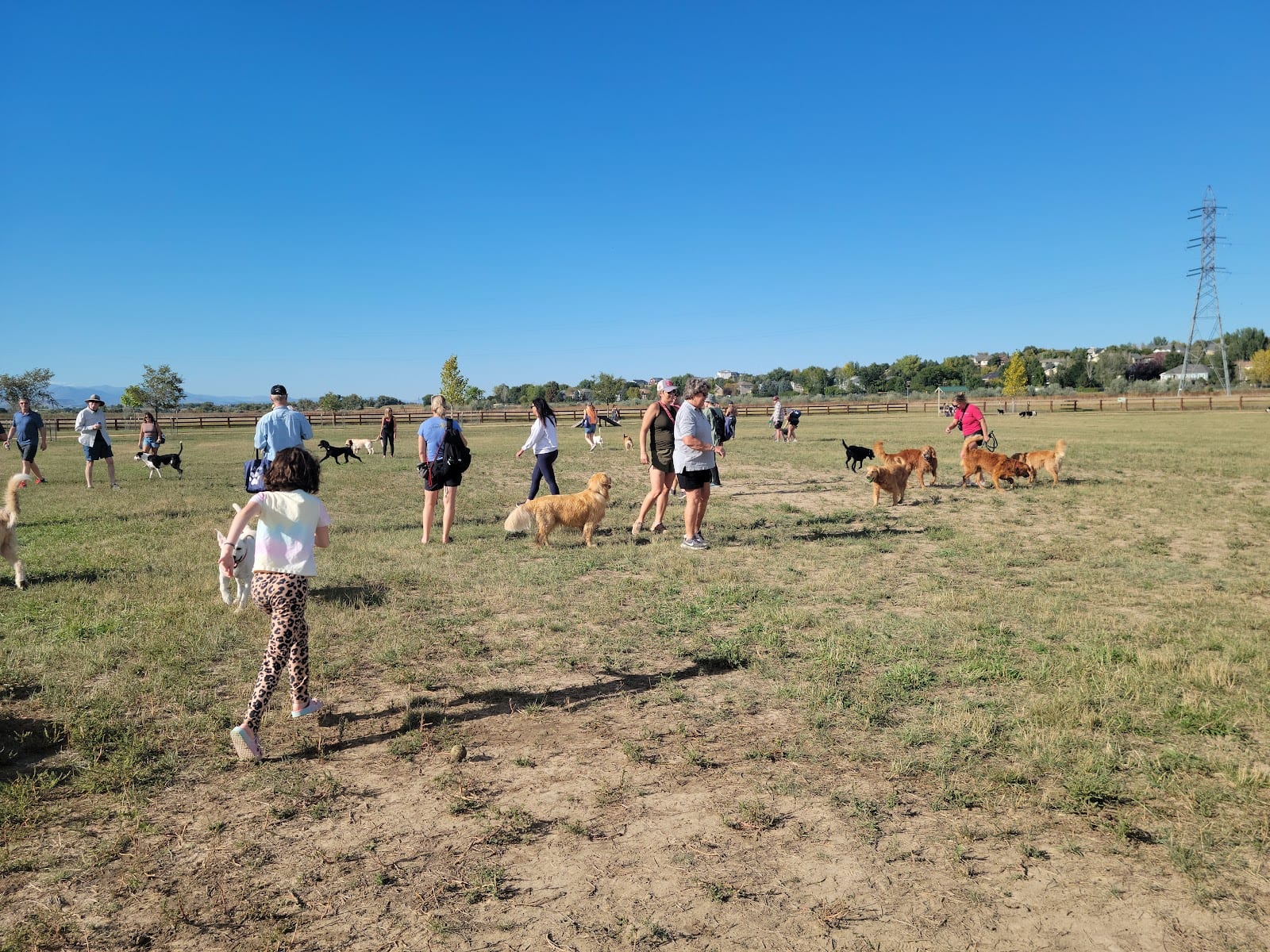 The Boneyard at Reliance Park