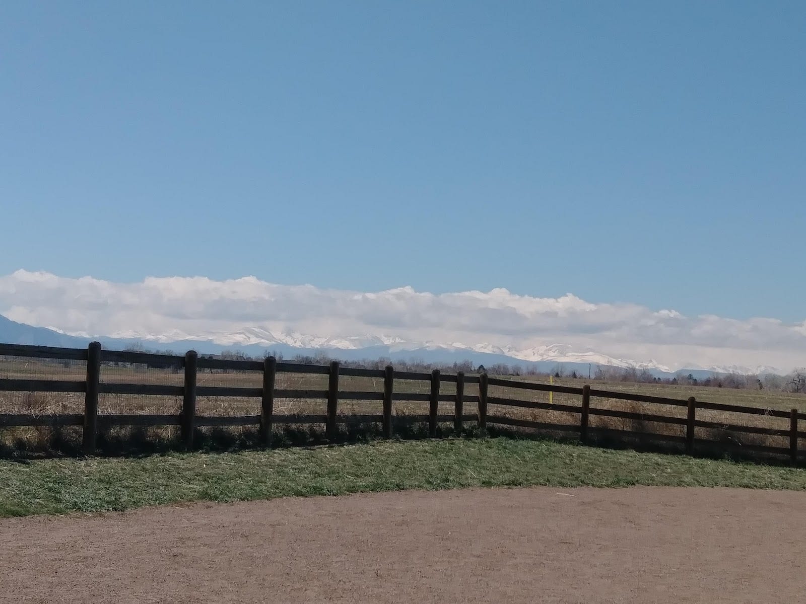 The Great Bark Dog Park