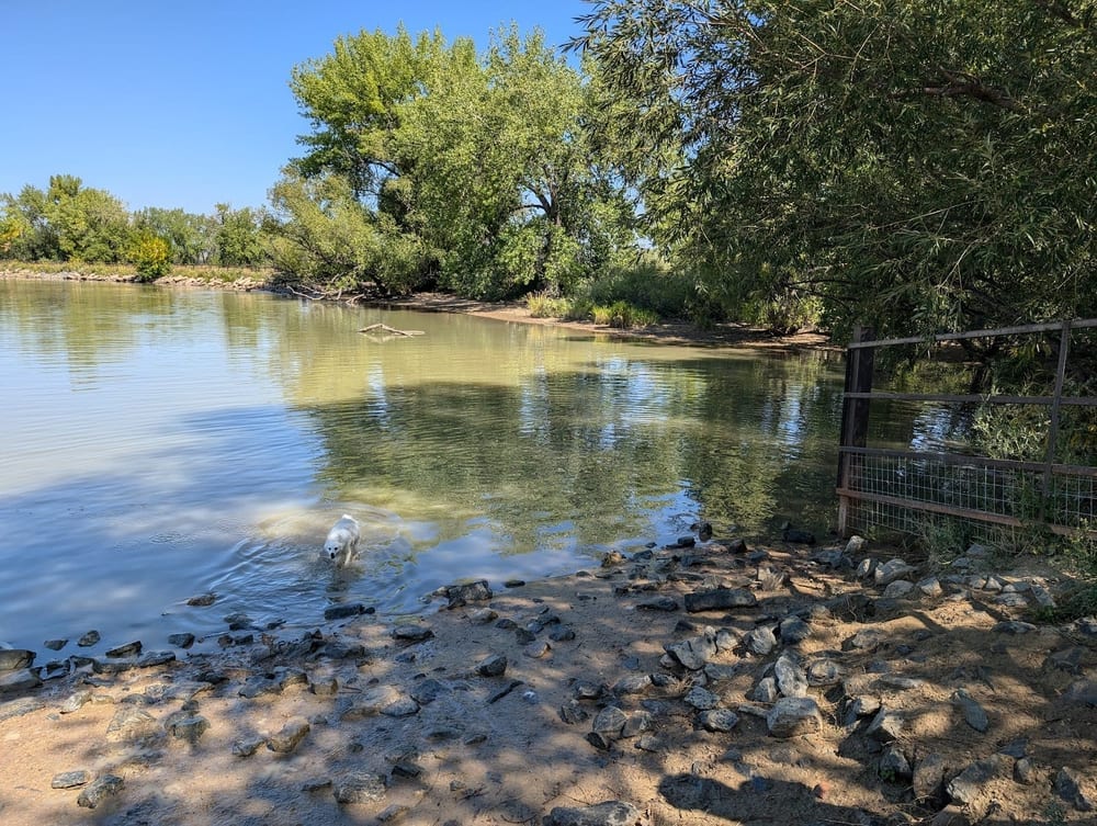 Twin Lakes Open Space, photo 2