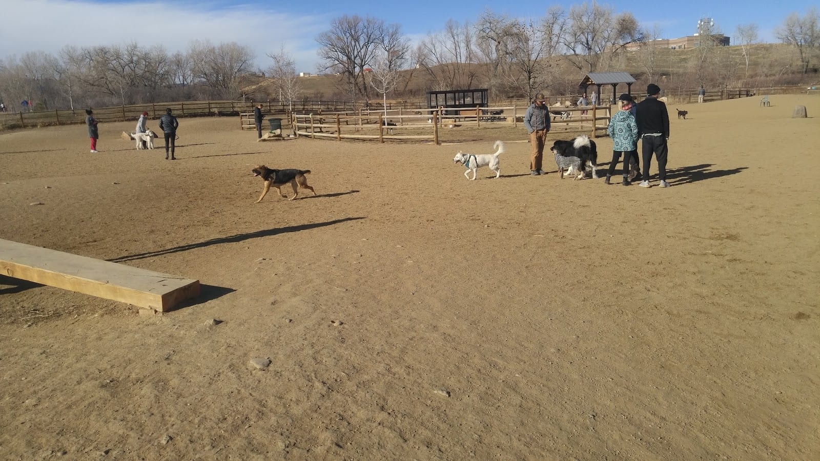 Dog park in Boulder