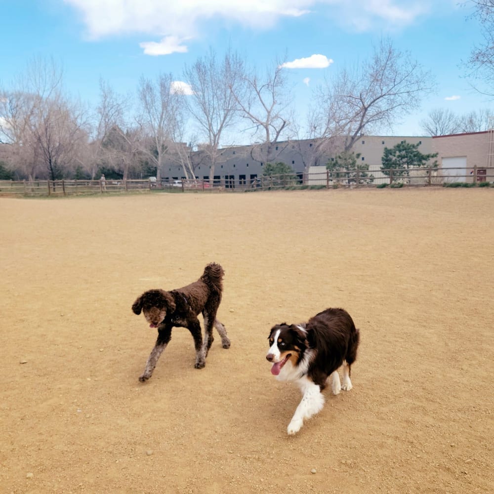 Valmont Dog Park, photo 2