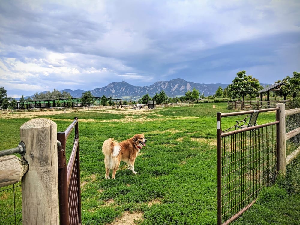 Valmont Dog Park, photo 3