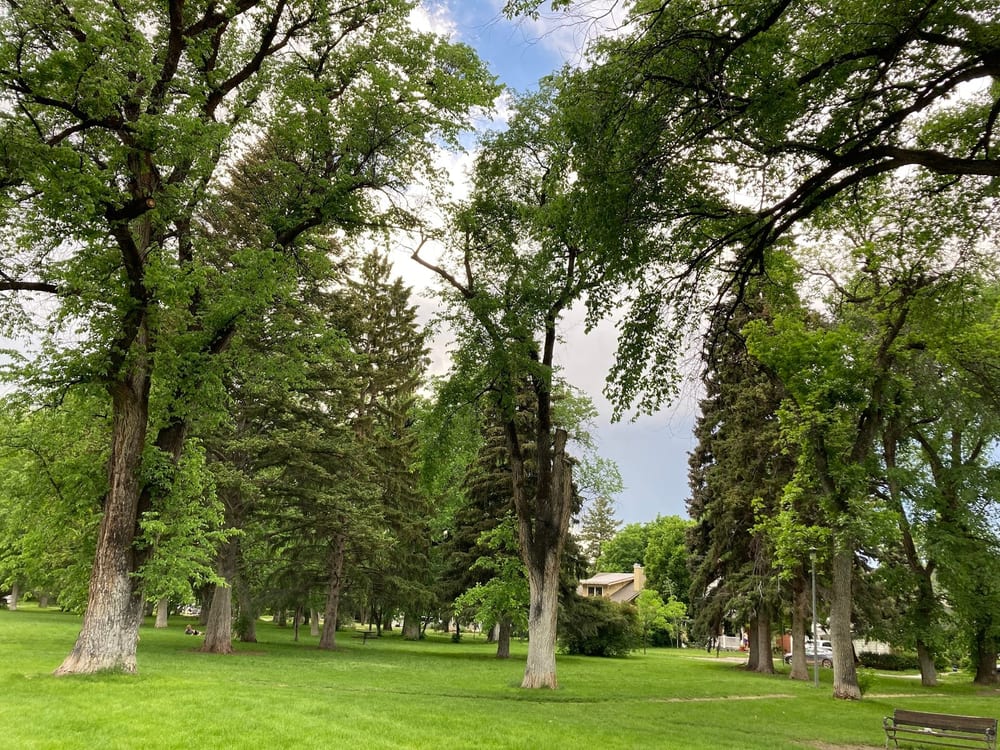 Cooper Park, photo 2