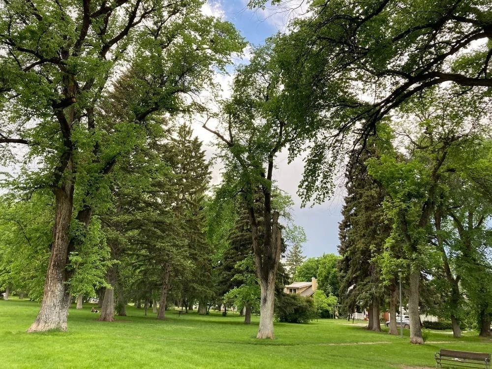 Cooper Park, photo 2