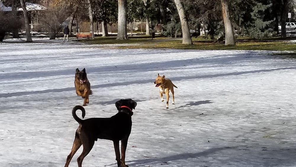 Cooper Park, photo 3