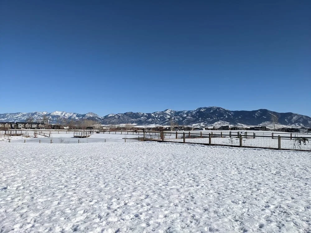 Dog Park at Gallatin County Regional Park, photo 3
